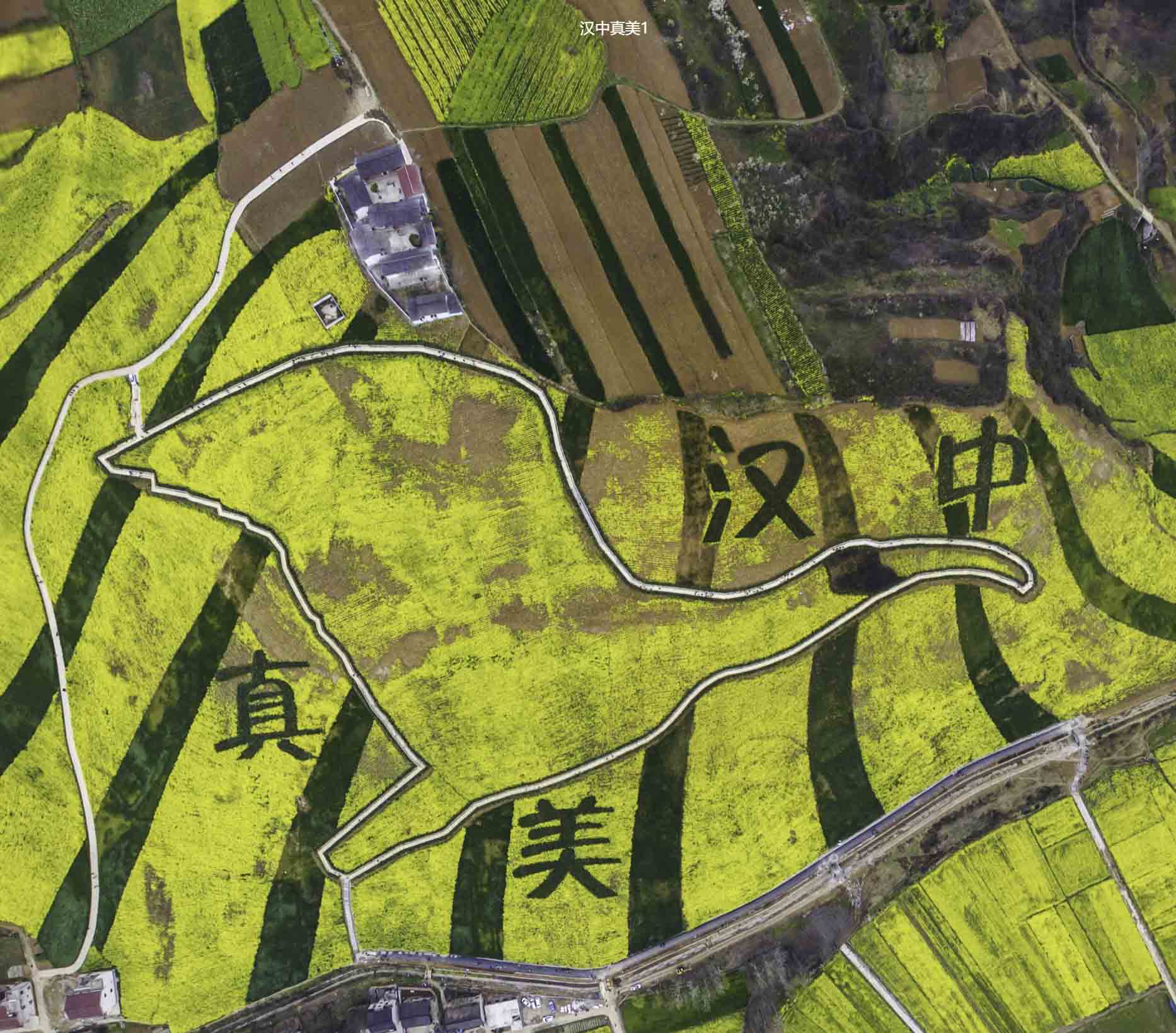 西藏VR全景拍摄中的三维建模艺术：从现实到虚拟的再现